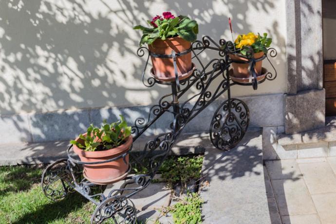 B&B Il Belvedere Viterbo Exterior foto